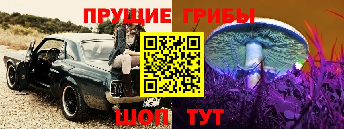 Химки  Галлюциногенные грибы Psilocybe  Галлюциногенные грибы мицелий  Вход с VPN 